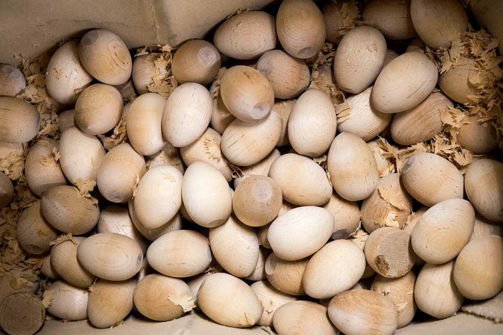 Wooden Easter eggs fresh off the lathe at Maine Wood Concepts in New Vineyard wait on Friday for the next step in the process of becoming an official White House Easter egg.