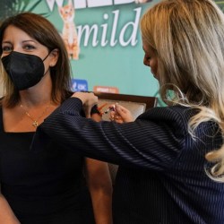 Virus Outbreak Vaccines