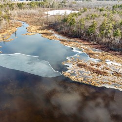 Tripp Pond