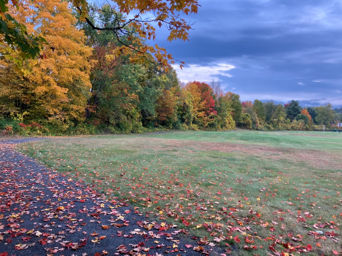 Fall color settles over Prescott Field in Farmington